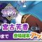 アルテマロゴ