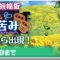 アルテマロゴ