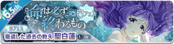 白フェス聖