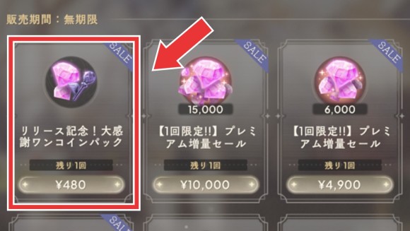 大感謝ワンコインパックもあわせて購入する