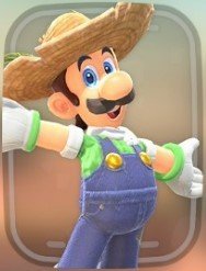 ルイージ4