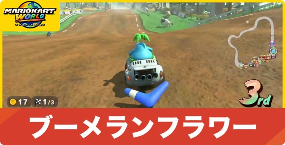 ブーメランフラワー