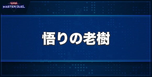 悟りの老樹の入手方法と収録パック