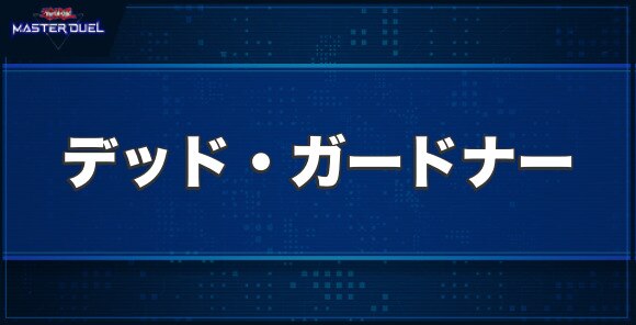デッド・ガードナーの入手方法と収録パック