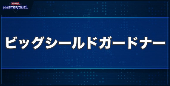 ビッグ・シールド・ガードナーの入手方法と収録パック