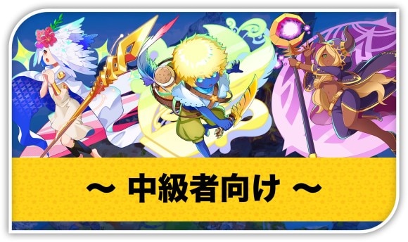 中級者向け