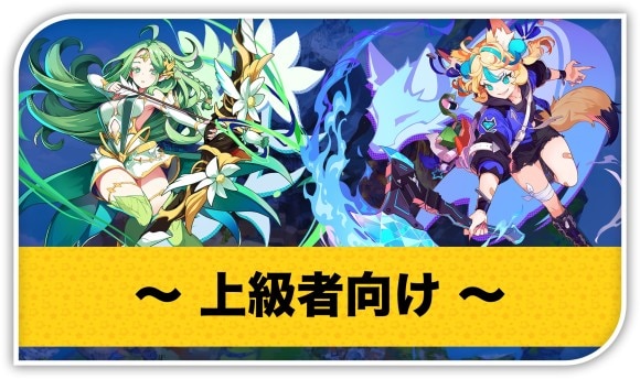 上級者向け
