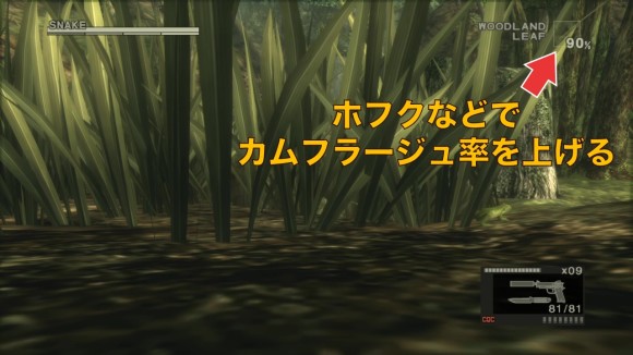 カムフラージュ率