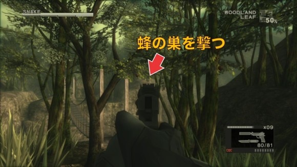 蜂の巣を撃つ