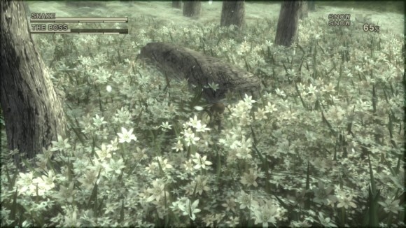 カモフラージュを変更して隠れながら戦う