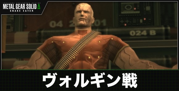 ヴォルギン戦
