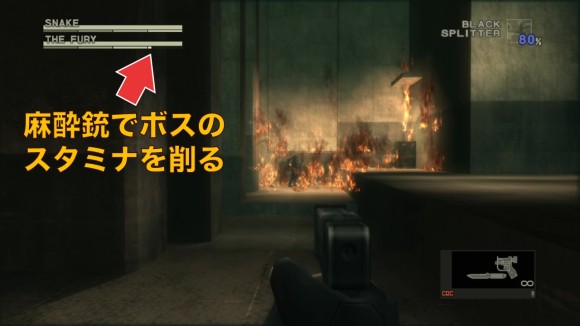 麻酔銃でボスのスタミナを削る