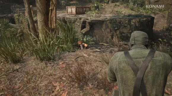 FOXHUNT3