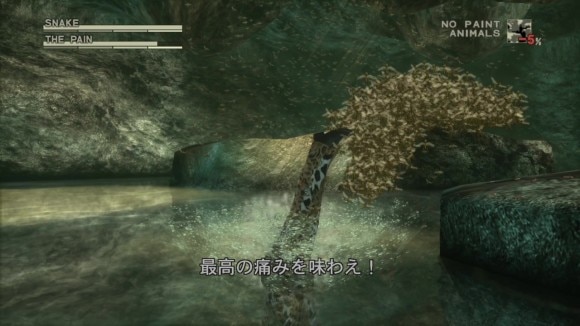 蜂の攻撃は水に飛び込んで避ける