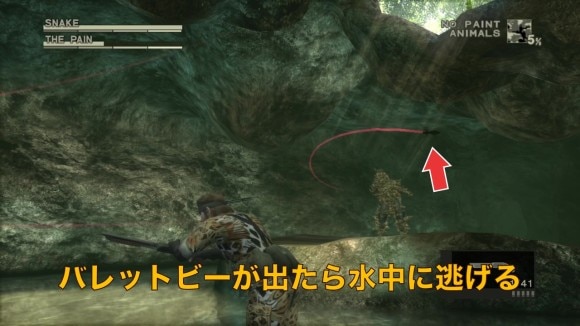 バレットビーが出たら水中に逃げる