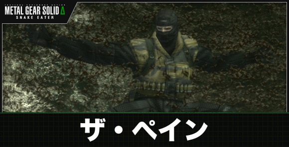 ザ・ペイン