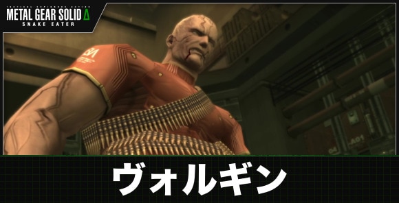 ヴォルギン