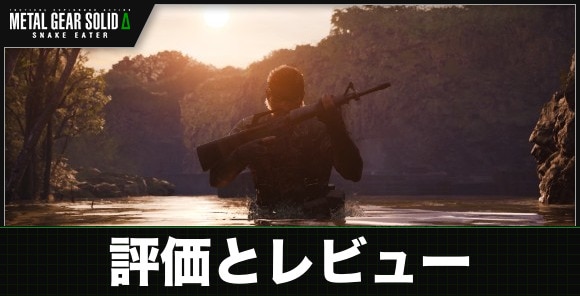 評価とレビュー