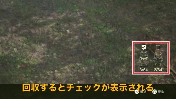 回収したガーコ