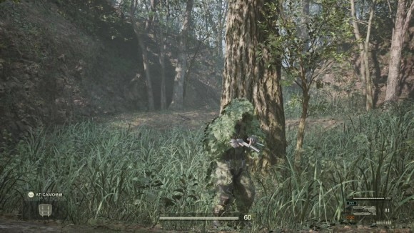 AT-CAMO
