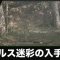 アルテマロゴ