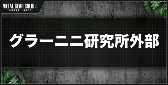 グラーニニ研究所外部