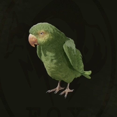 オウム