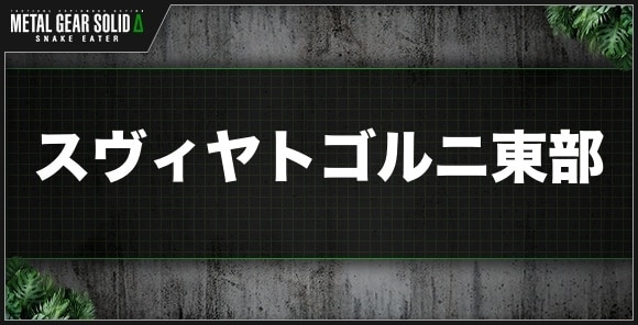 スヴィヤトゴルニ東部