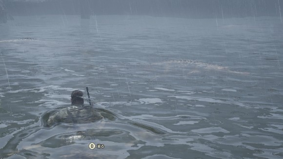 水中のワニには近付かない