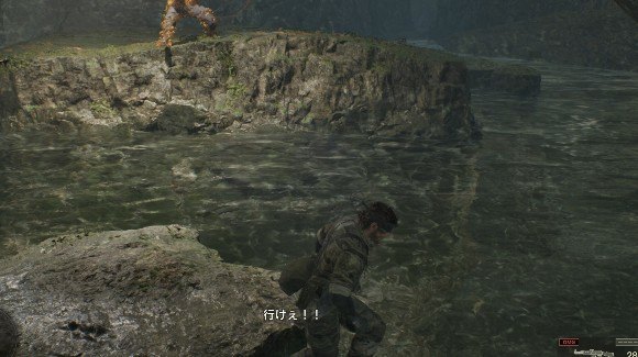 蜂の攻撃は水に飛び込んで避ける