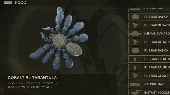 食中毒を起こす食糧でスタミナを減らして妨害