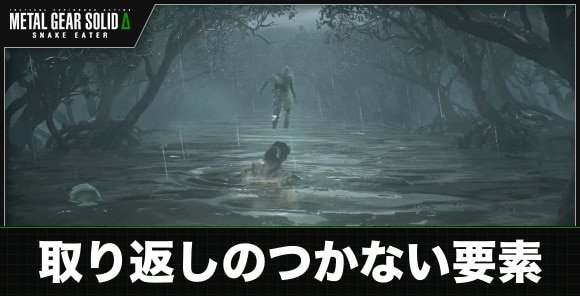 取り返しのつかない要素