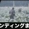 アルテマロゴ
