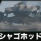 アルテマロゴ