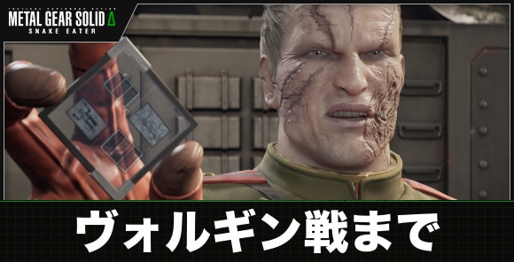 ヴォルギン戦まで
