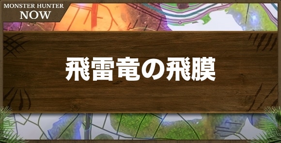 飛雷竜の皮膜の入手方法と使い道