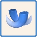 凍魚竜の角