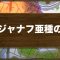 アルテマロゴ