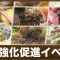 アルテマロゴ