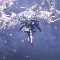 アルテマロゴ