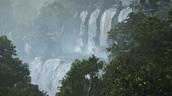 水の豊かな森林のフィールド