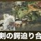 アルテマロゴ