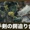 アルテマロゴ