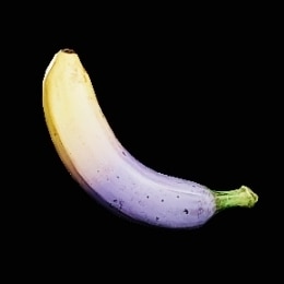 ブランゴネコバナナα