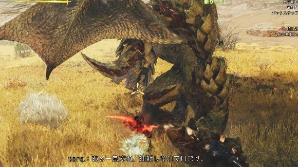 脚部を狙って立ち回る