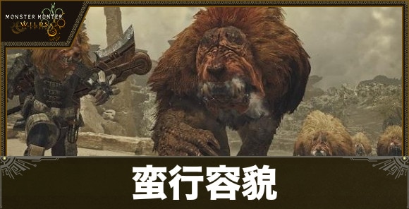 蛮行容貌