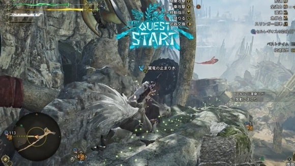 サポートハンターは同行させない