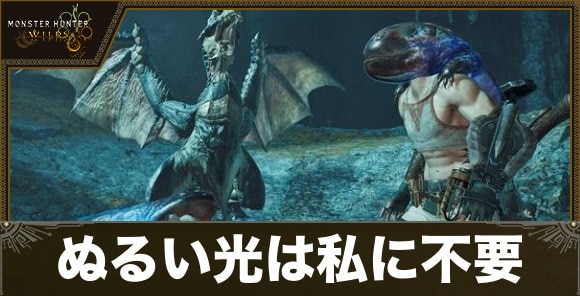 【モンハンワイルズ】ぬるい光は私に不要