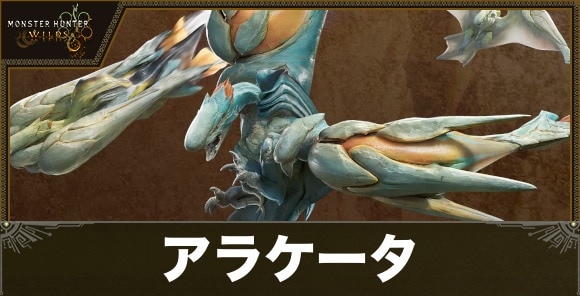 アラケータの最新情報