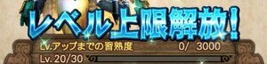 レベル上限解放!